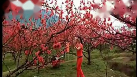 动动广场舞 《新雪山阿佳》