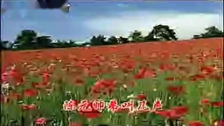 河南坠子《九剑十八侠》20集完 艾志云