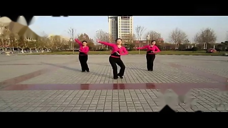 广场舞教学《花一样的地方》