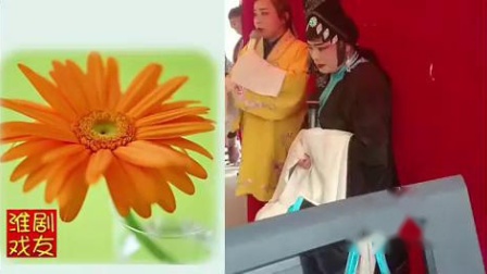 苏北民间淮剧《刘秀冷宫探母》 雪花飞飞演