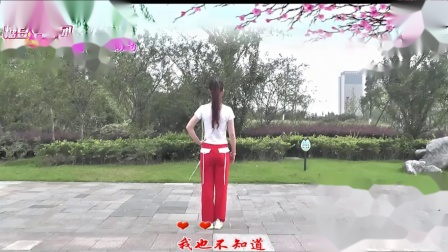 动动广场舞《人在江湖》