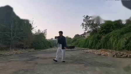 杨式太极拳28式