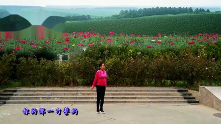 同州冰花广场舞270《酒醉的蝴蝶》编舞张春丽下载