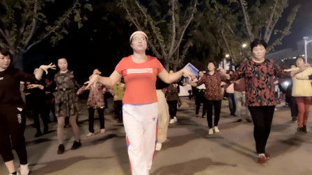 舞灵美娜子广场舞  《丁丁》下载