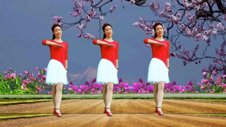 广场舞《爱的深伤的深》附教学