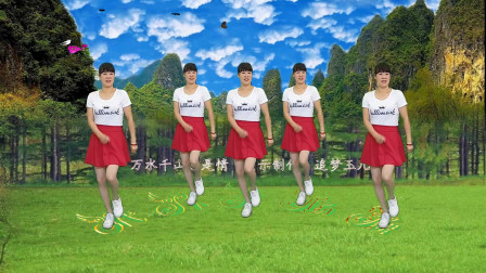 广场舞《万水千山总是情》10步舞附教学 经