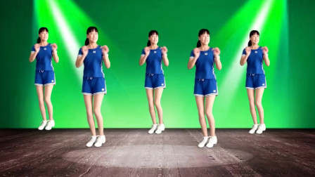 气质美女广场舞《迪斯科》劲爆嗨曲经典舞步欢快好看下载