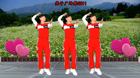 改编40步广场舞《爱到最后就是痛》DJ何鹏版