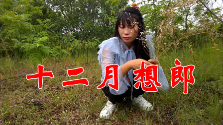 民间小调《十二月想郎》韵味十足 催人泪下 