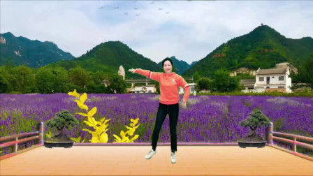 云裳广场舞《情歌美》优美民族风 云裳老师
