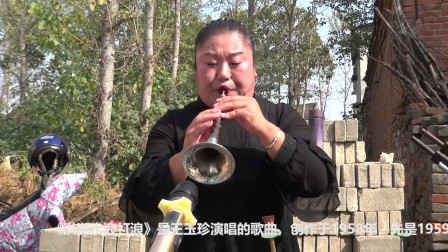 唢呐版歌曲《洪湖水浪打浪》戏曲大全下载