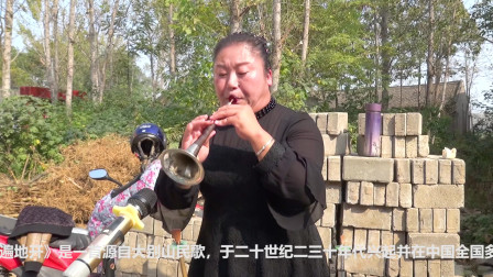 歌曲《八月桂花遍地开》唢呐高手演奏听着真