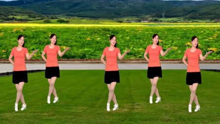 云儿开心广场舞《大风歌》网红混搭步子舞32