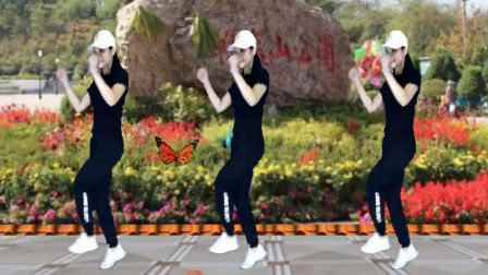霞子广场舞《多年以后DJ版》鬼步舞53步正反