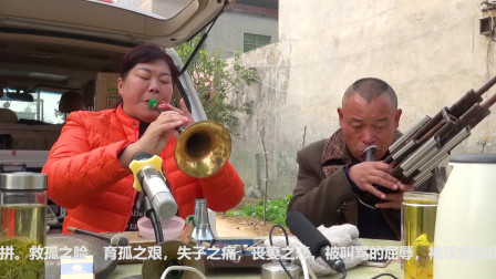唢呐版豫剧《无情棍打得我皮开肉绽》戏曲大