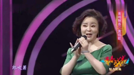 黄梅戏歌《黄梅飘香》名家李文演唱 好听好