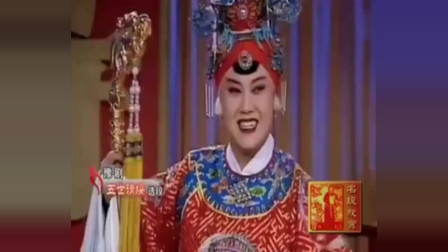 豫剧《五世请缨》豫剧名家王慧 名家名段唱