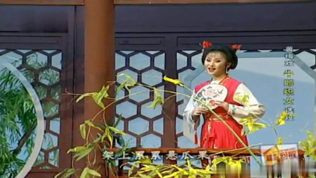 黄梅戏名段《牛郎织女到底人间欢乐多》名家周源源演唱 好听好看下载