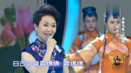 黄梅戏歌《美江南》名家周源源演唱 优美动听 戏曲大全高清下载下载