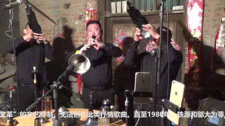 歌曲《在那桃花盛开的地方》高价请来的唢呐