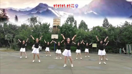 云裳广场舞《野花香》 好听好看简单易学适