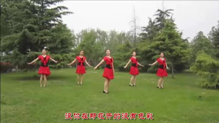云裳广场舞《五月花开》青春时尚动感流行舞