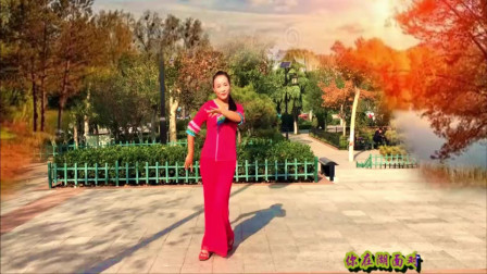 云裳广场舞《情歌美》教学视频简单好学高清