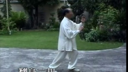 武式太极拳96式李伟明教学视频简单好学高清