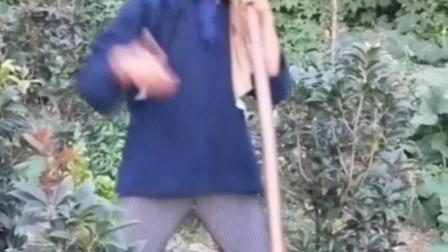 民间小调 周三 沈小芹《大实话》下载