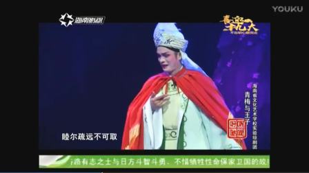 琼剧《青梅与王子》