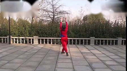 广场舞《梦中的额吉》（编舞杨艺）附教学下载