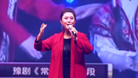 《梨园春》明星演唱会 名家名段唱段欣赏下载