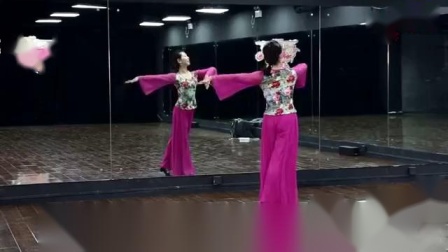 《雁南飞》反面 糖豆广场舞课堂