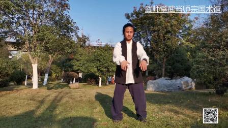 青少年太极拳教学版视频高清下载