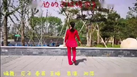 応子广场舞《天边的巴拉格宗》正背面演示慢