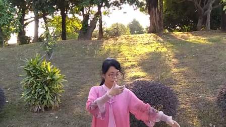 晨练48式太极拳 教学视频简单好学高清下载