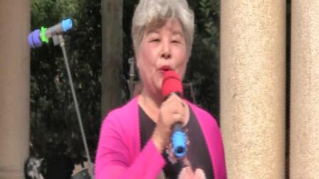 苏州评弹《蝶恋花答李淑一》