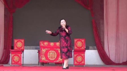 大平调《二进宫》演唱者 赵艳丽 濮阳龙乡艺