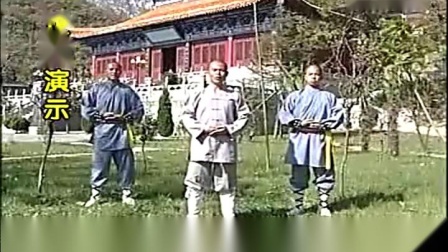 少林达摩易筋经动作分解与教学B  国语高清 