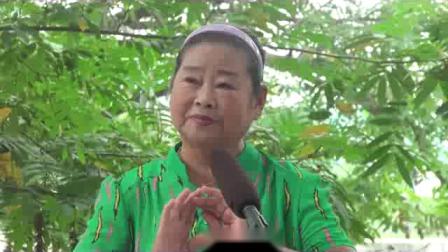 柳琴戏《梁山伯与祝英台》 张晓霞