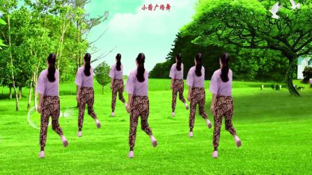广场舞《摆腿摇》舞步动感欢快 活力十足 简