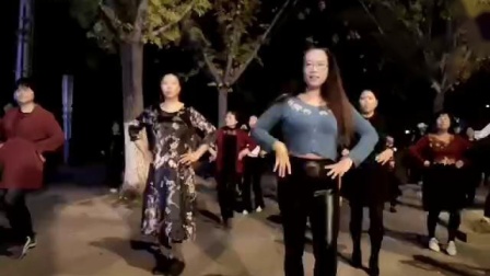舞灵美娜子广场舞《家乡的姑娘真漂亮》夜舞版下载