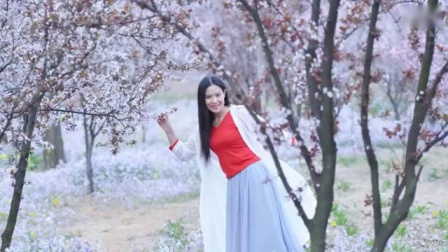金灿灿广场舞 《怎么爱都爱不够DJ 》动感健