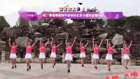 茉莉广场舞DJ《花儿哪有阿妹俏》原创现代舞附教学下载