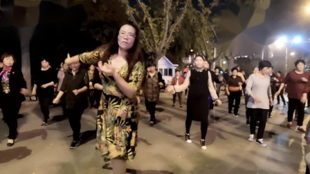 舞灵美娜子广场舞《恰恰》夜舞版 高清下载下载