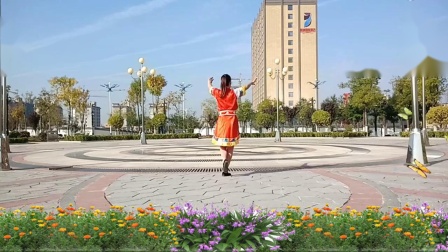 广场舞《遇上你是我的缘》背面附分解教学 