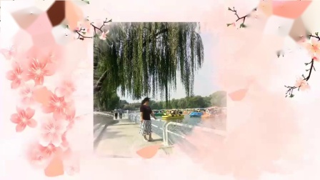 月下飘香广场舞《相信我没有错》吉美编舞恰
