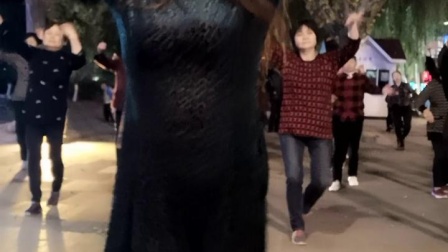 舞灵美娜子广场舞《都说DJ》夜舞版 高清下载下载