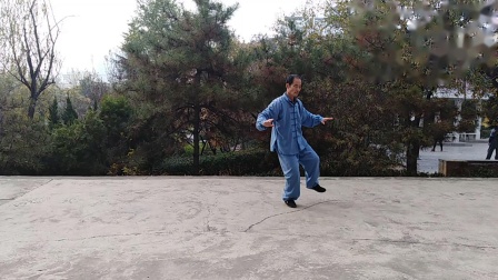 广大演练太极拳85式