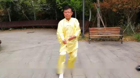 陈式太极拳精要十八式